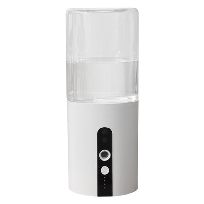 Automatic Hand Sanitizer
